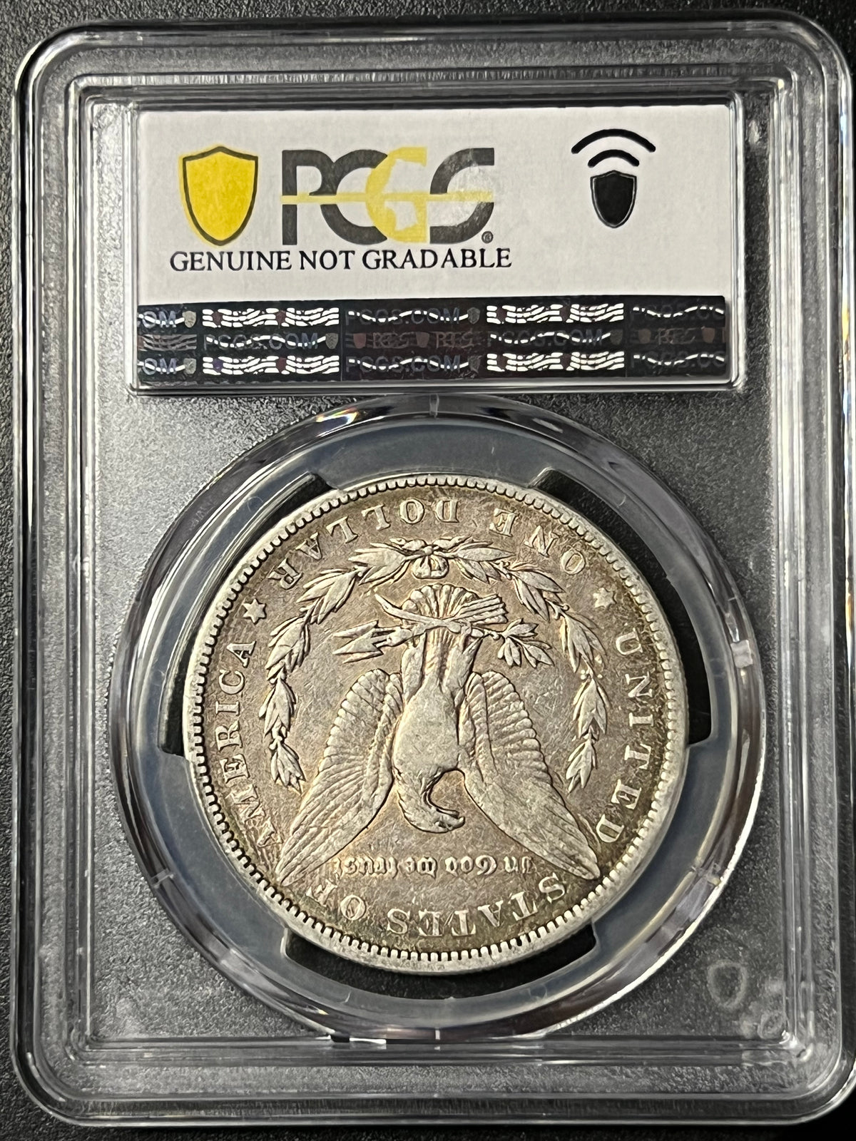 1883 Morgan Silver Dollar — PCGS Genuine (Cleaned-F Detail)