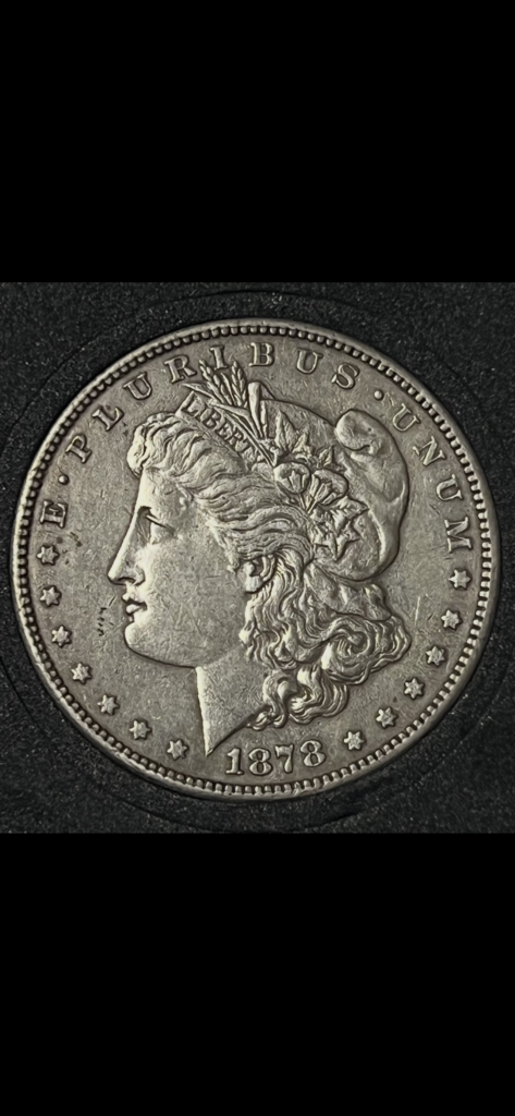 1878-CC Morgan Silver Dollar (Raw)